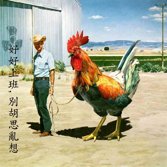 嫖客与鸡!!!!