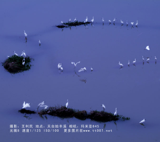 -王利民