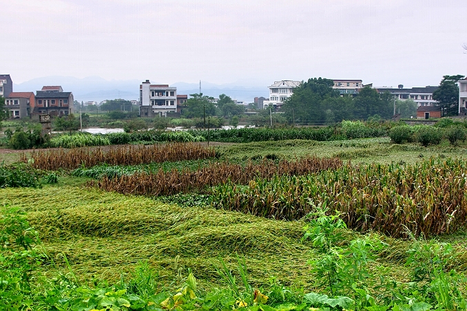 台风过后