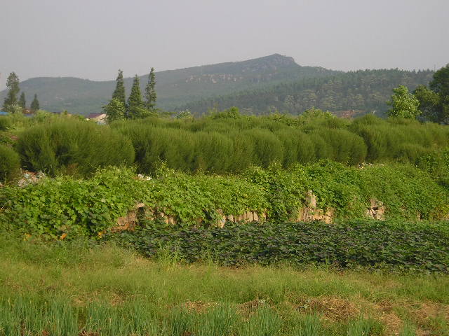 宁静的乡村