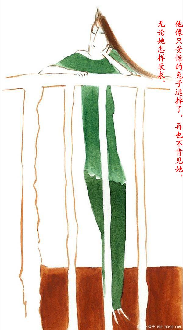 一个真实的故事……[二]