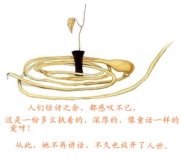 一个真实的故事……[三]完结篇!
