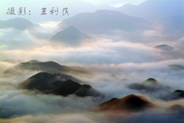 天台山云海--摄影:王利民