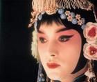 [讨论]当事业与爱情发生冲突的时侯你会怎么办?