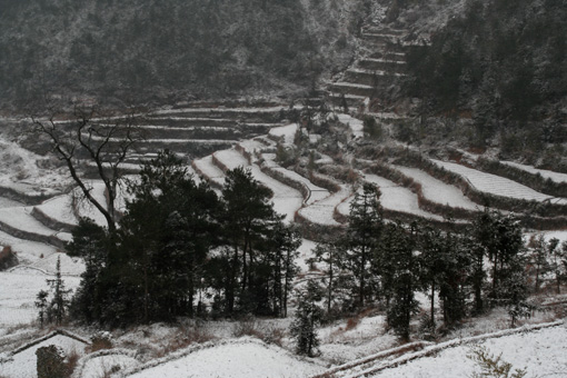 2006年的第一场雪