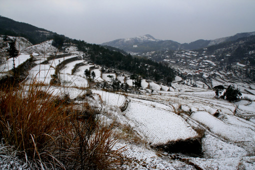 2006年的第一场雪