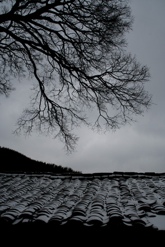 2006年的第一场雪