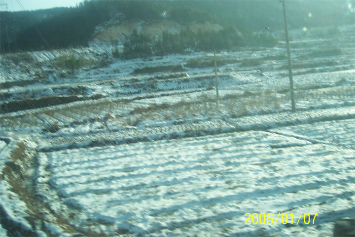 2006年的第一场雪