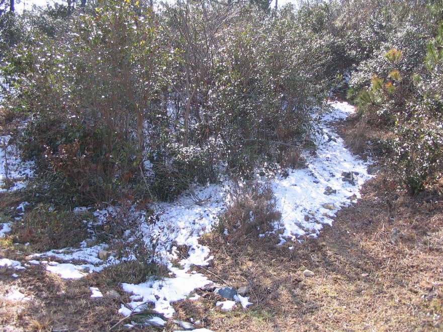 小盏，上年糕——苍山看雪归来图片展