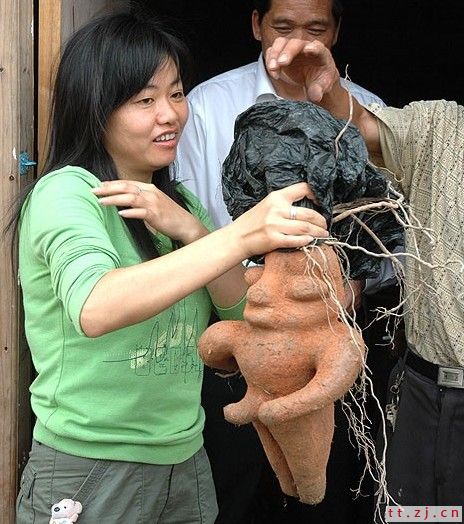 超级猛男人形何首乌