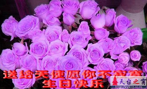 祝天使也寂寞妹妹生日快乐