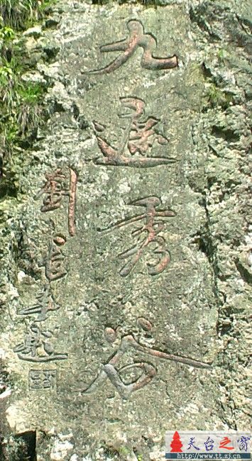 九遮如画
