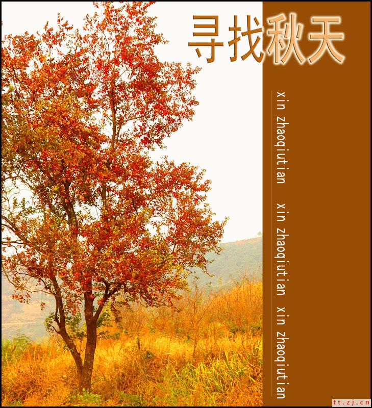 寻找秋天