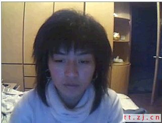 毛兔