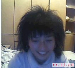 毛兔