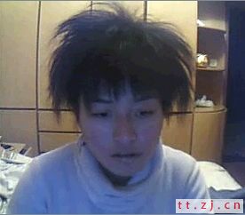 毛兔