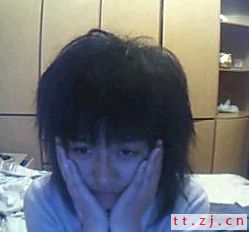 毛兔
