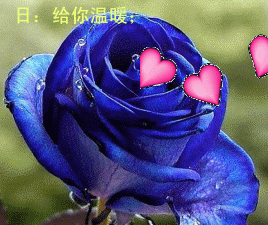 好看吗？