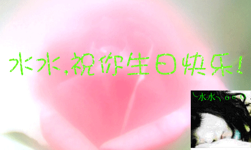 水水生日快乐！