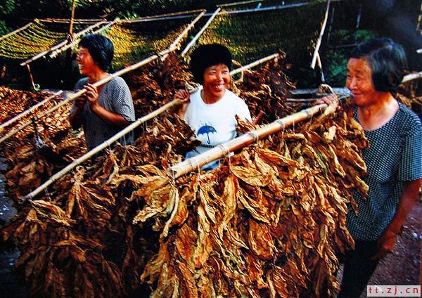 “漂亮宝贝杯” 首届嵊州新昌天台影友联谊赛获奖作品