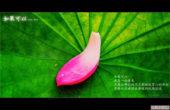 如果可以重来