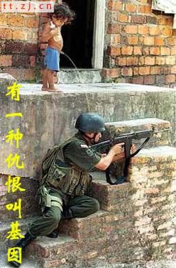 2006年不得不看的十六张图片
