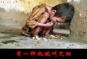 2006年不得不看的十六张图片