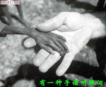 2006年不得不看的十六张图片