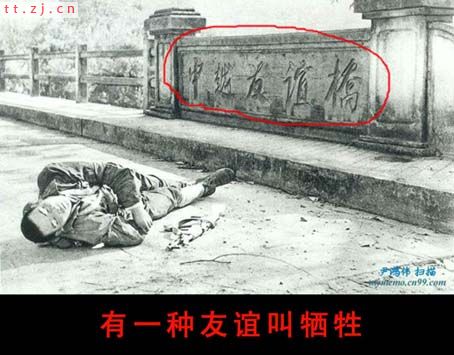 2006年不得不看的十六张图片
