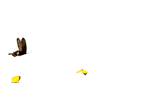 平安夜