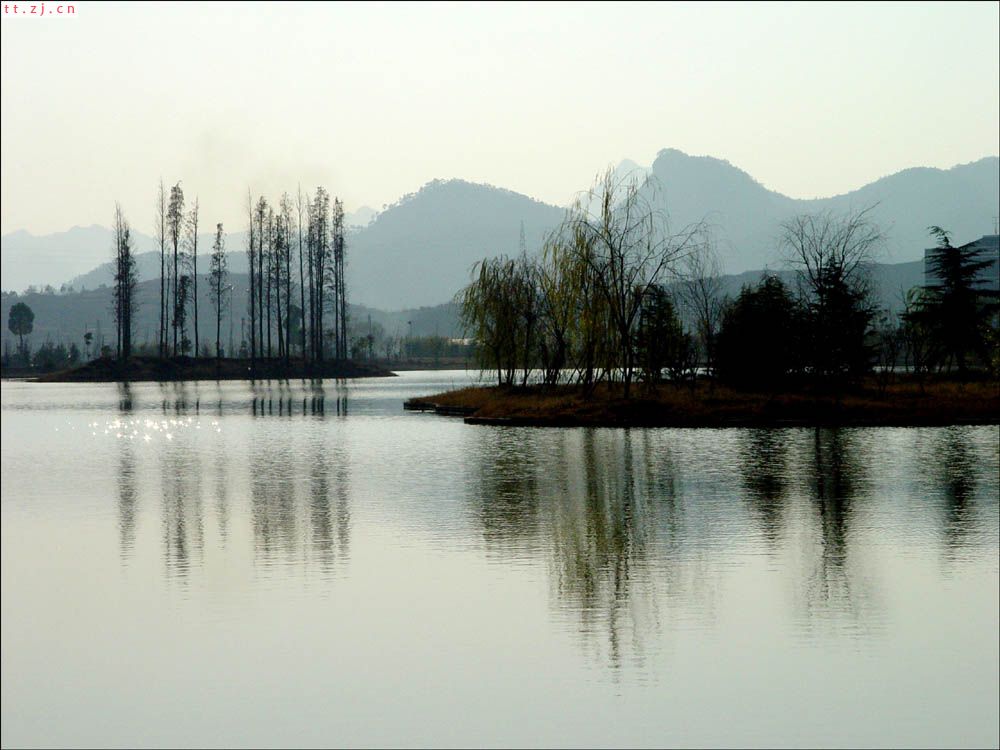 新城