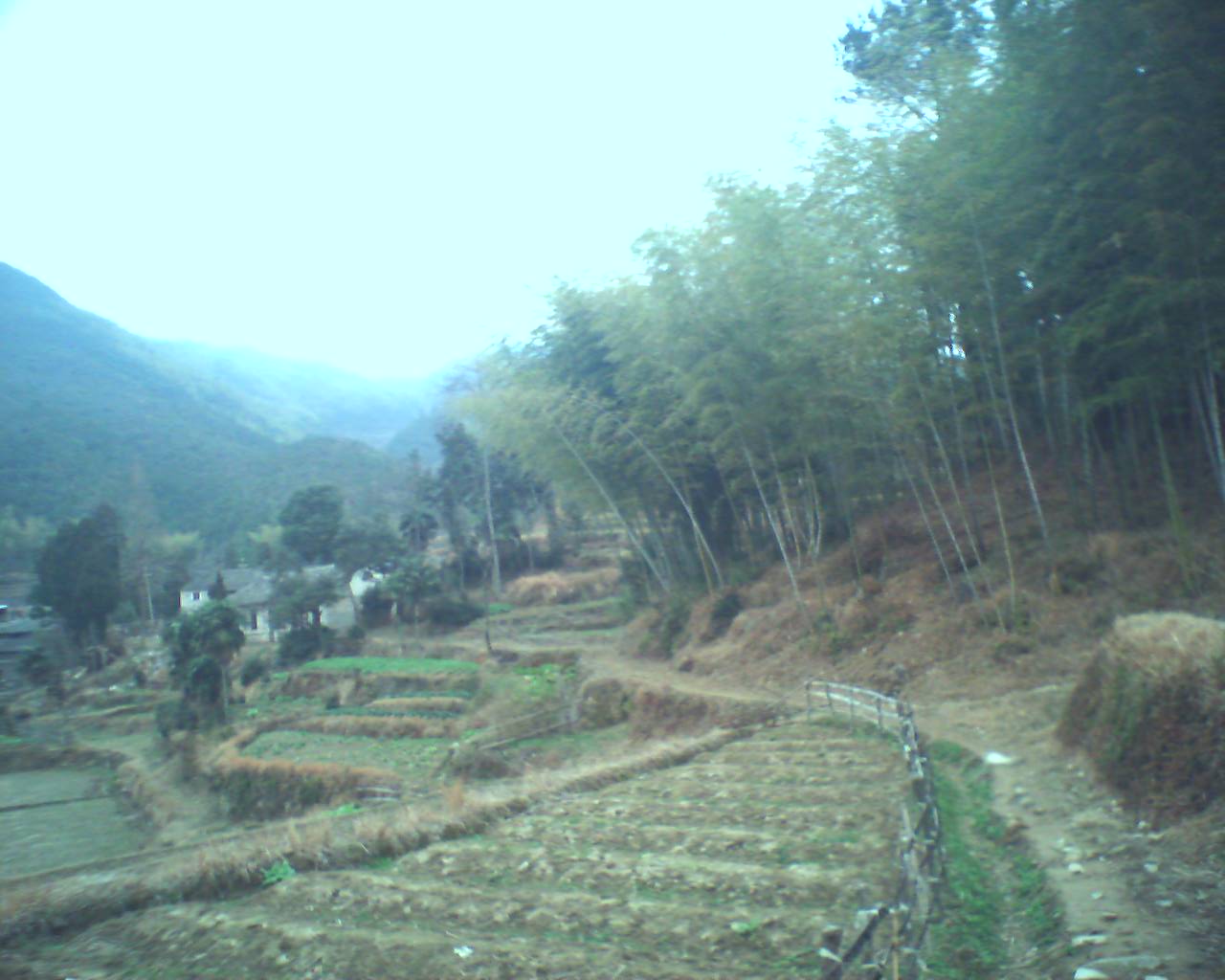 回乡