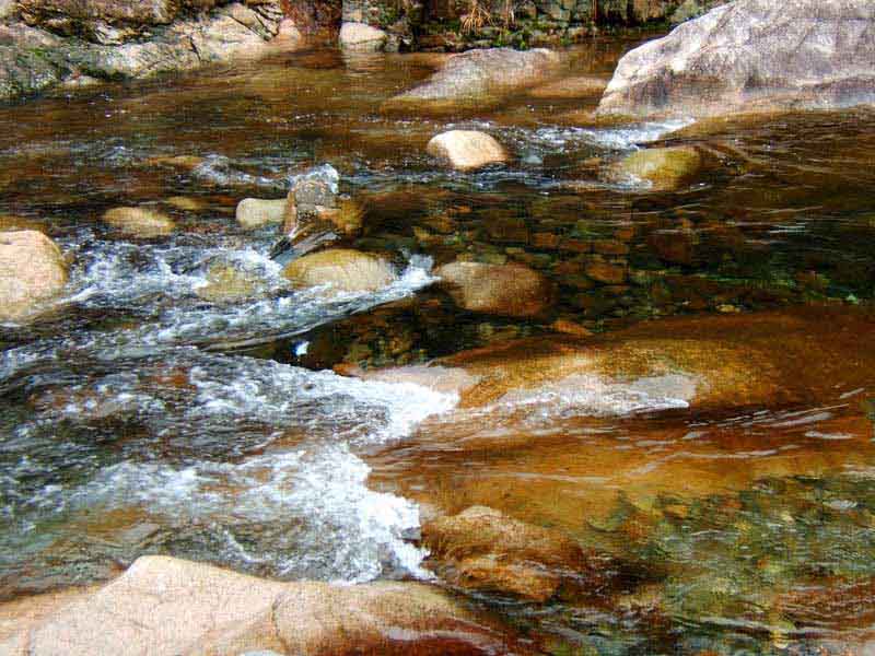毛泽东在鄣山大峡谷视察