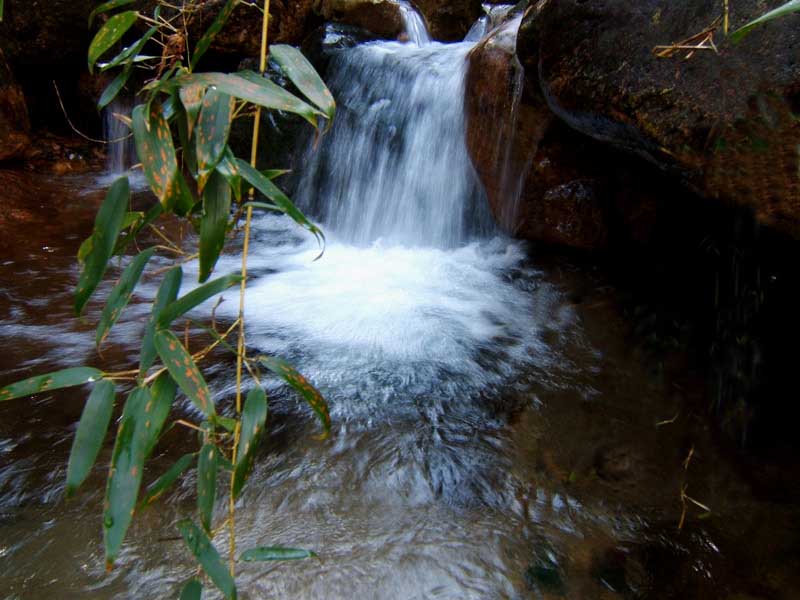 毛泽东在鄣山大峡谷视察
