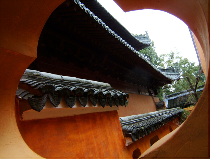 围墙里的世界
