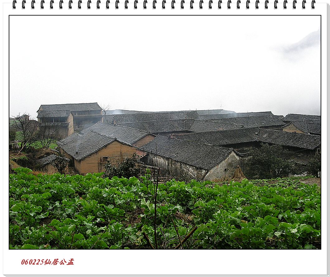 公盂休闲FB游PP
