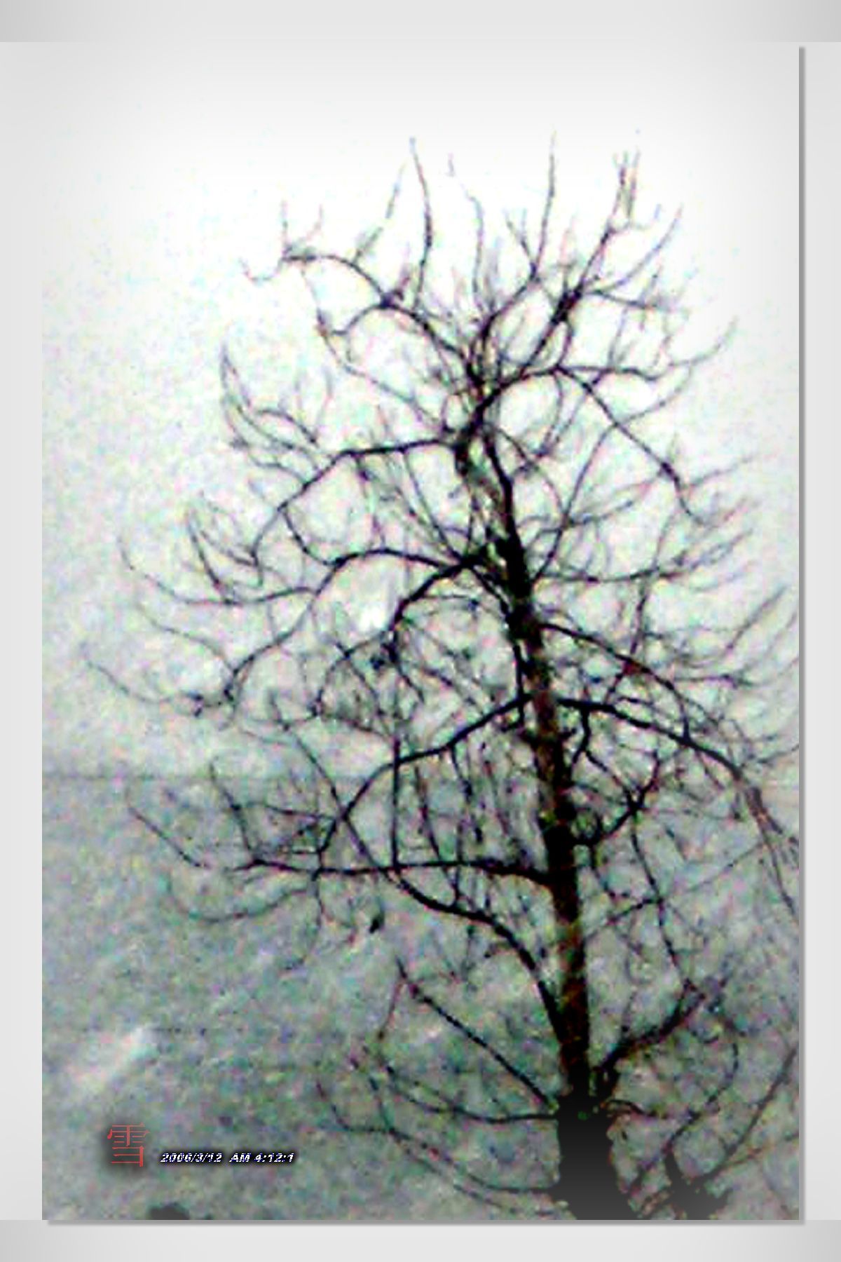 3.12雪