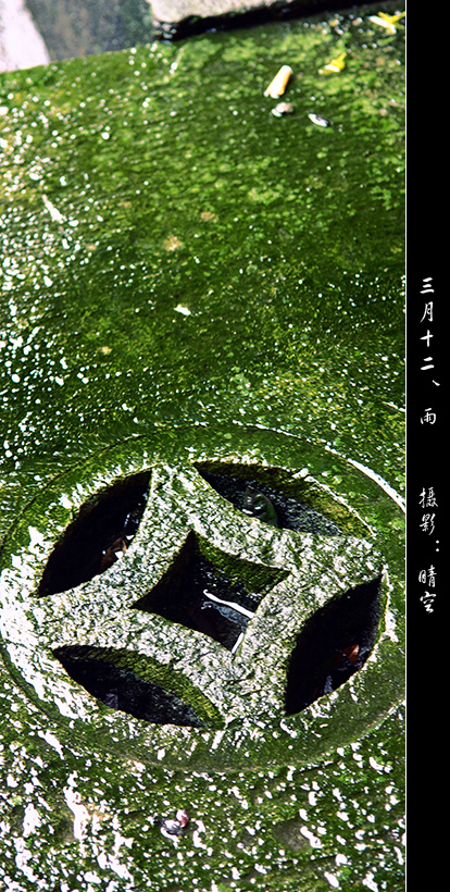 （原创）三月十二、雨