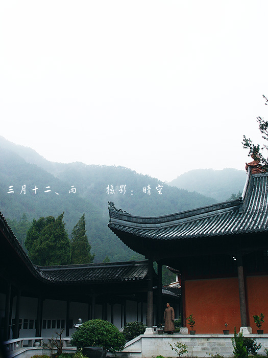 （原创）三月十二、雨