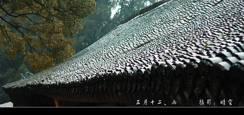 （原创）三月十二、雨