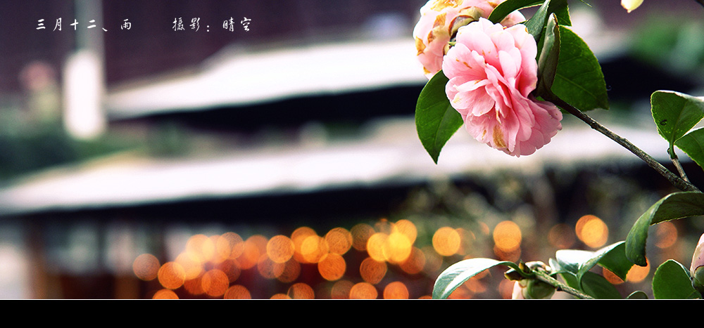 （原创）三月十二、雨