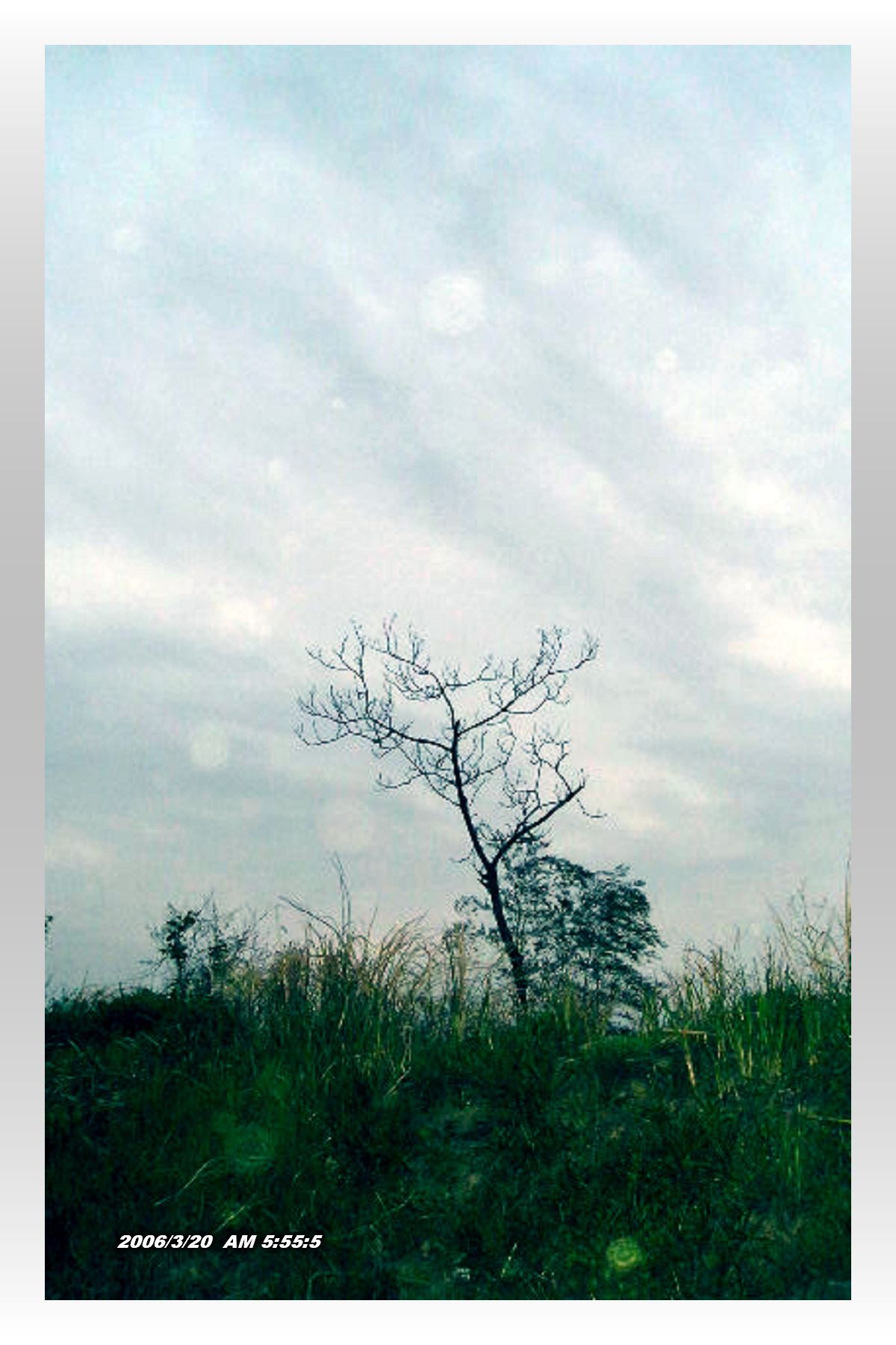 简单是美