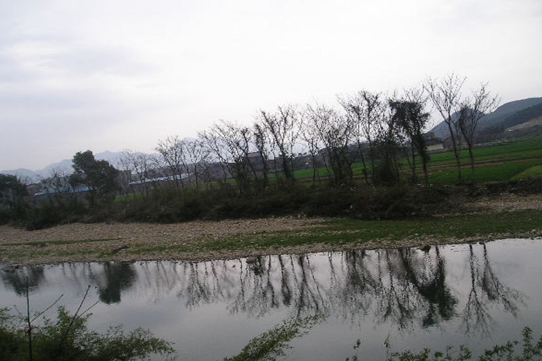 植物系-组图