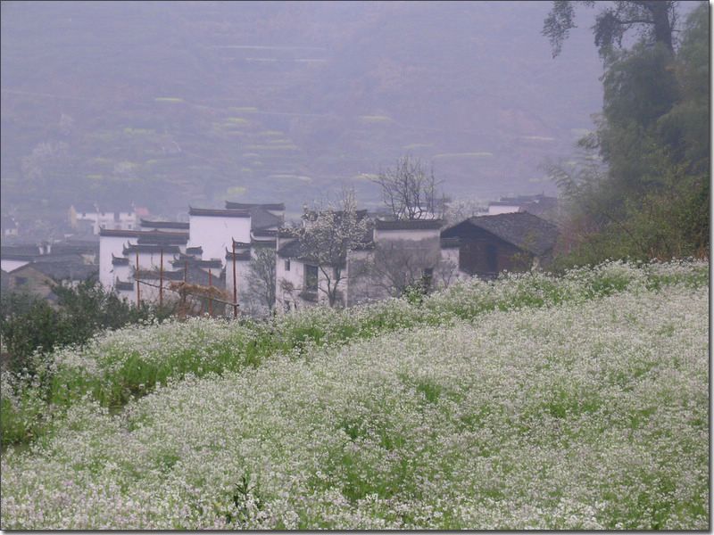 山野春光