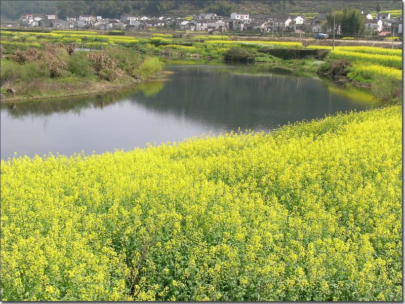 山野春光