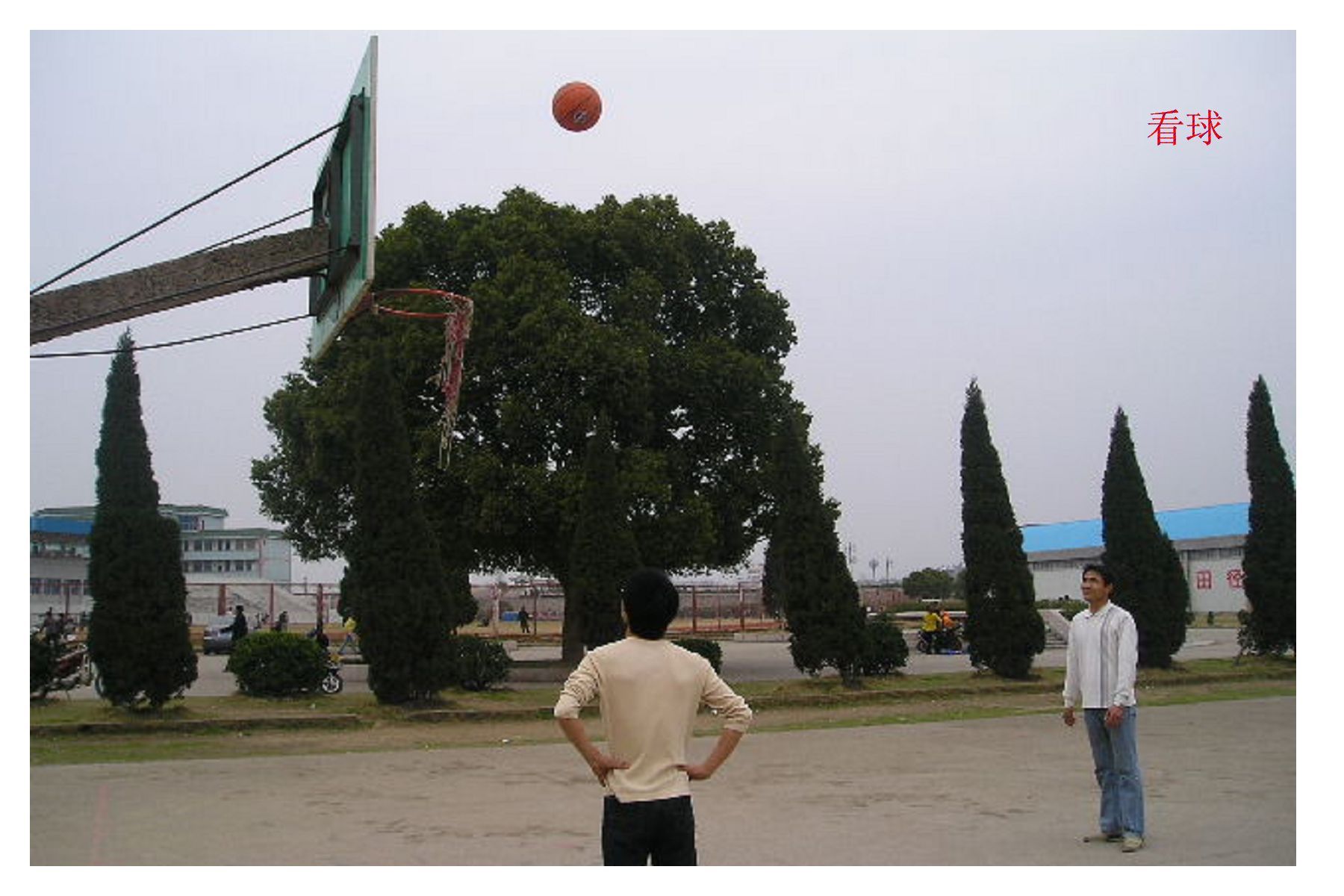 公园游玩系列