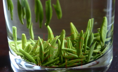 茶