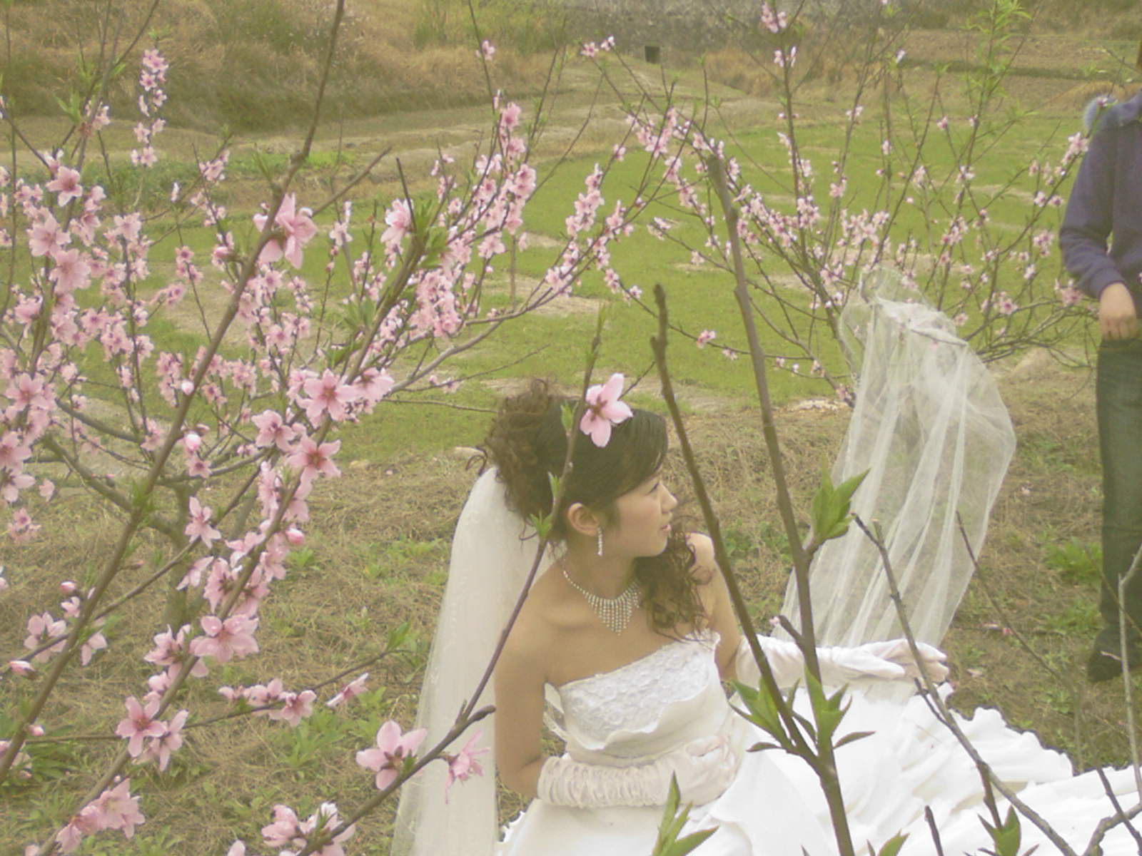 俺老婆漂亮不！