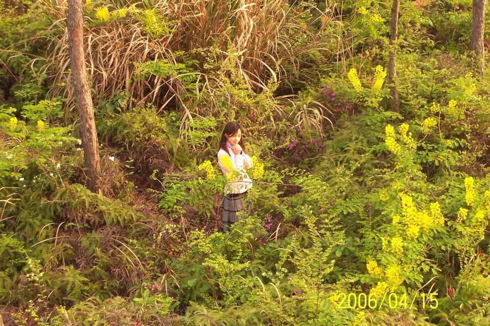青山桌一隅