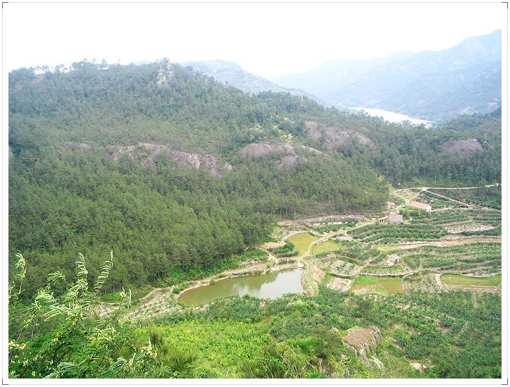 青山桌照片